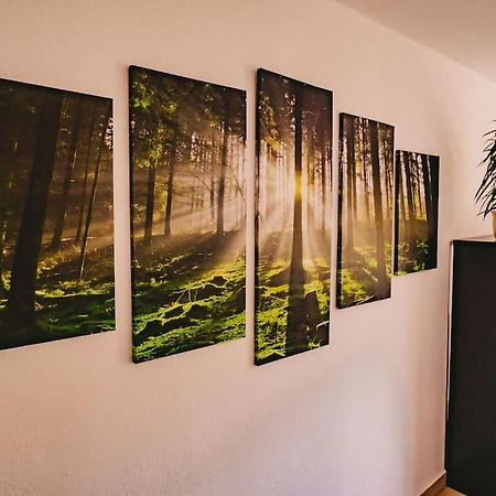 Franzis Feriendomizil Im Herzgebirge Am Skihang Auerbach  ภายนอก รูปภาพ