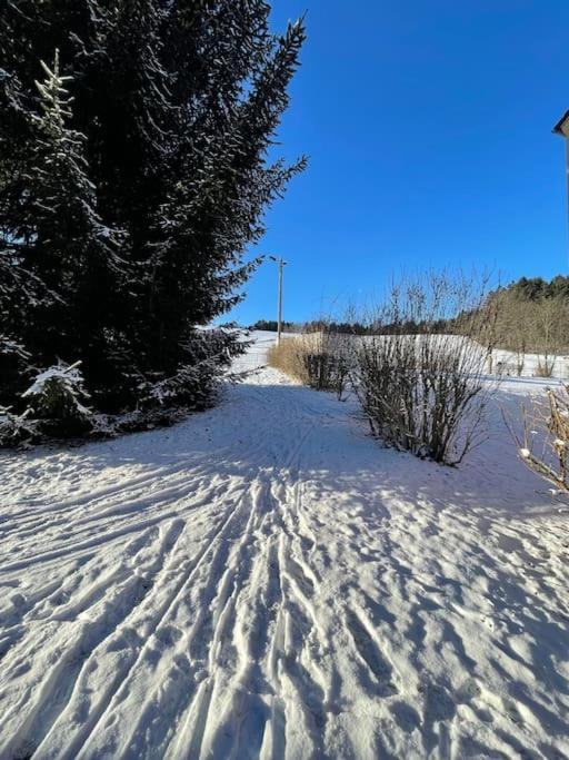 Franzis Feriendomizil Im Herzgebirge Am Skihang Auerbach  ภายนอก รูปภาพ