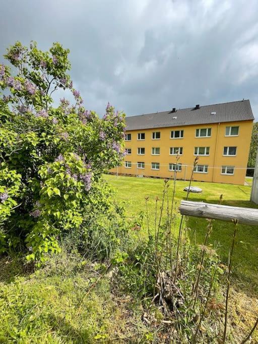 Franzis Feriendomizil Im Herzgebirge Am Skihang Auerbach  ภายนอก รูปภาพ