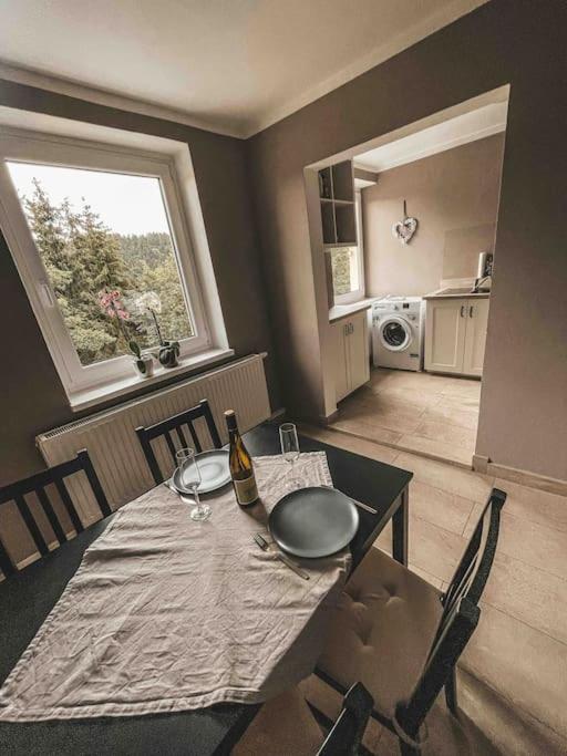 Franzis Feriendomizil Im Herzgebirge Am Skihang Auerbach  ภายนอก รูปภาพ