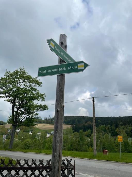 Franzis Feriendomizil Im Herzgebirge Am Skihang Auerbach  ภายนอก รูปภาพ